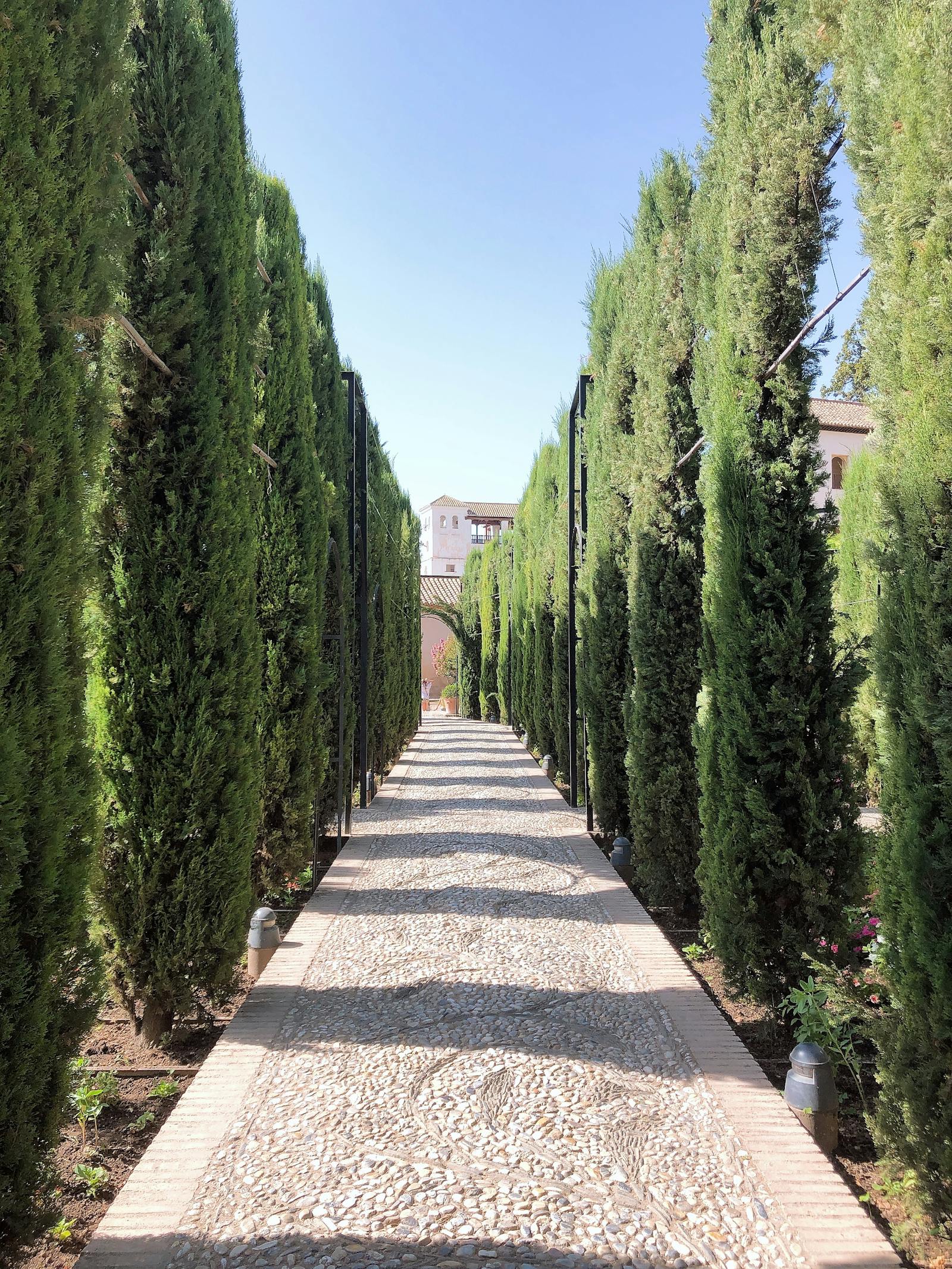 Allée bordée de cyprès dans un jardin méditerranéen à Nice