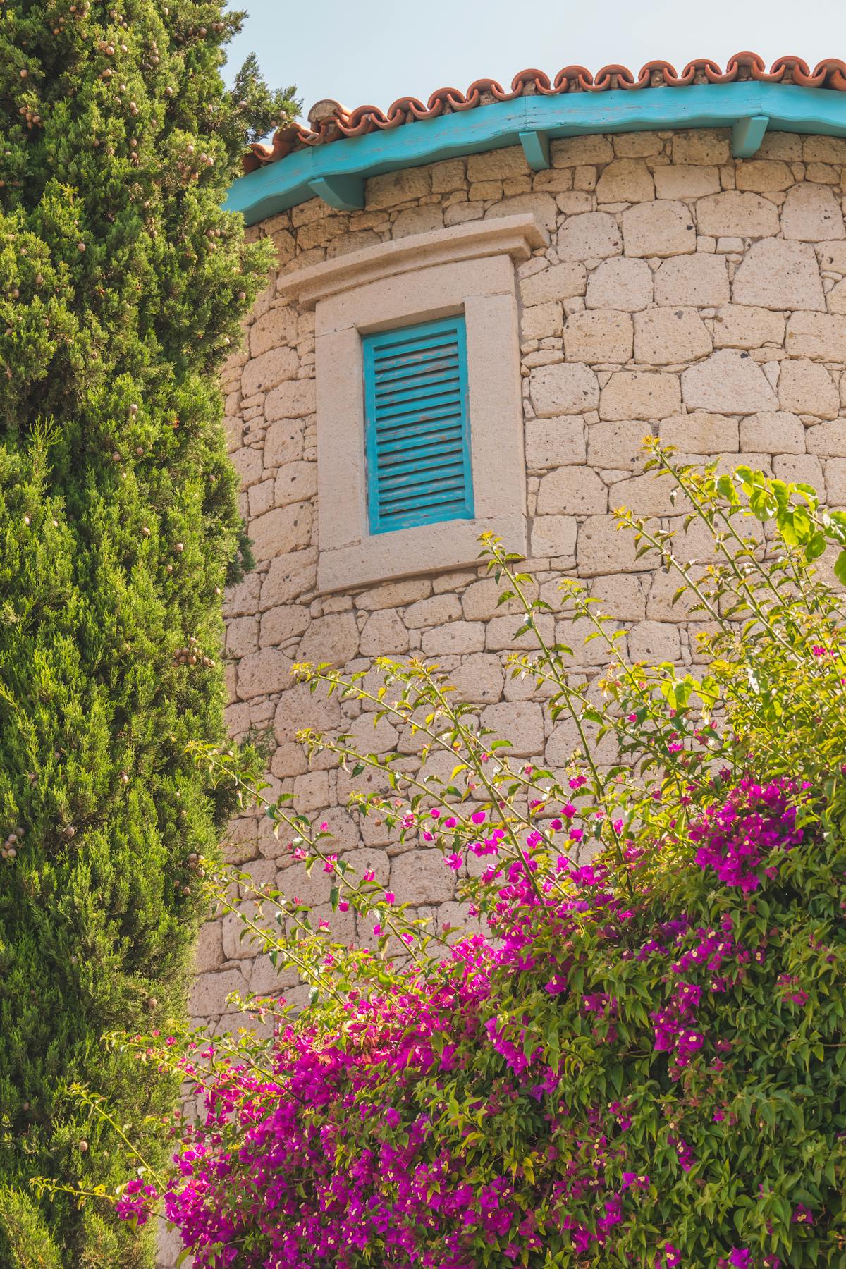 Entretien de parcs à Nice et sur la Côte d'Azur